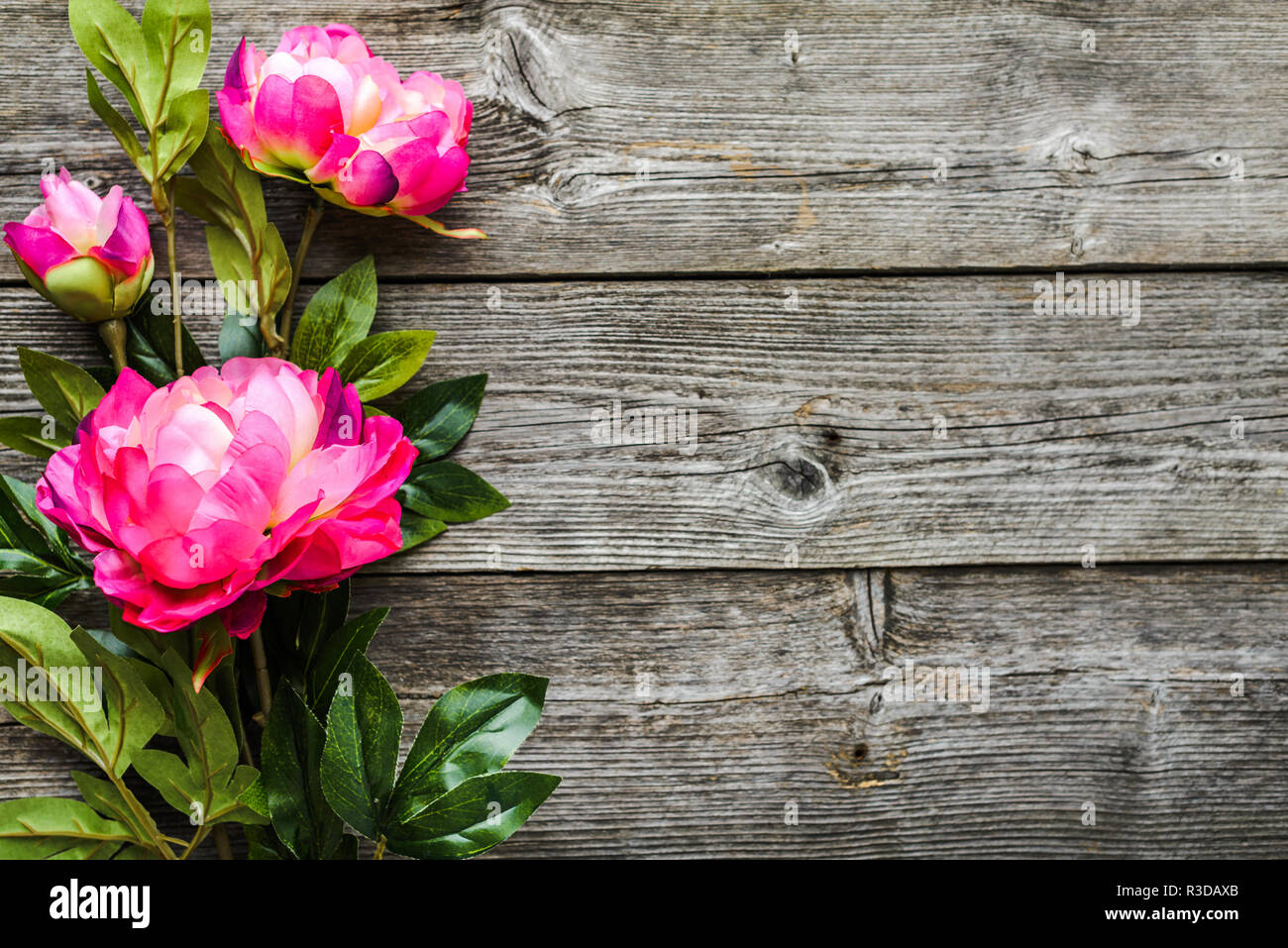 Sommer blumen blumenstrauss, Hintergrund für Muttertag oder zum Tag der Frauen am 8. März Stockfoto