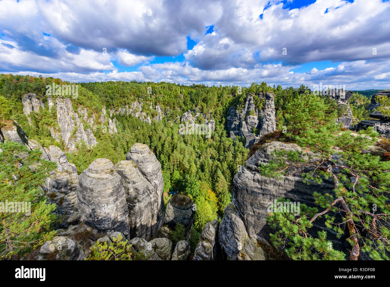 Panoramablick auf die wunderschöne Felsformationen der Bastei in der Sächsischen Schweiz National Park, in der Nähe von Dresden und Kurort Rathen - Deutschland. Beliebte Reise destinat Stockfoto