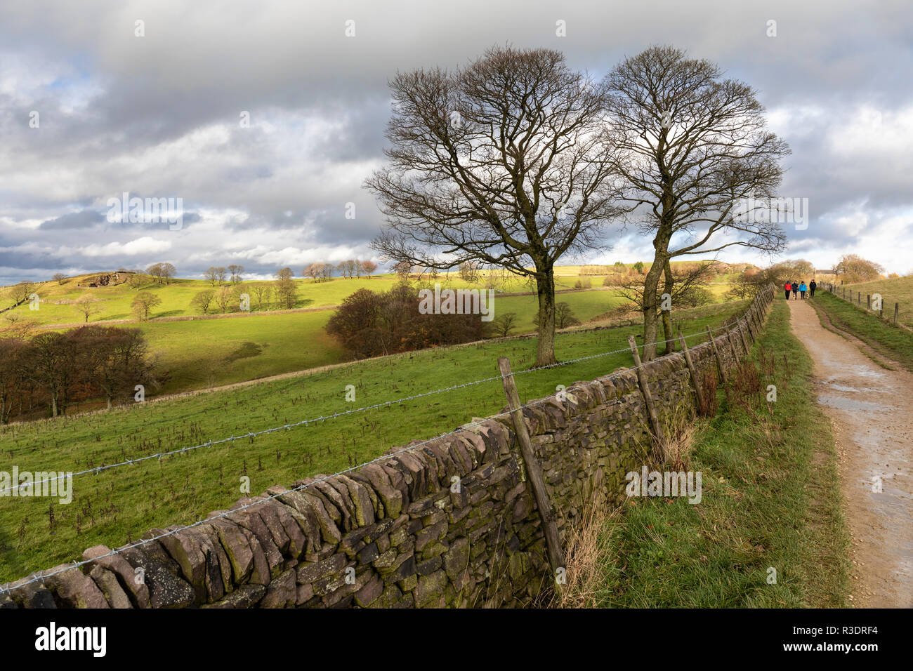 Eggs Nose Country Park in Macclesfield, Cheshire, England, Großbritannien Stockfoto