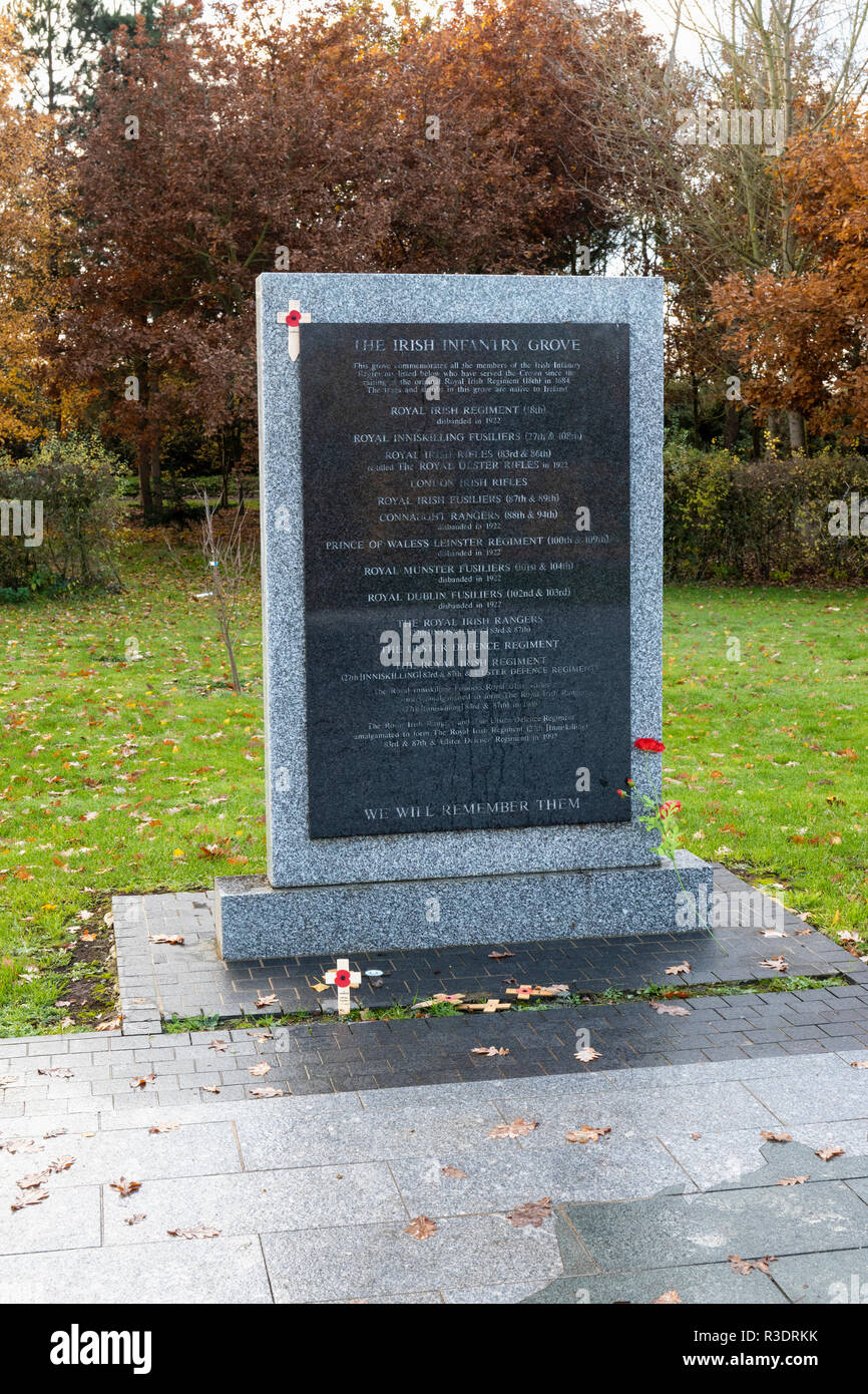 Die irischen Infanterie Hain, der irischen Infanterie Regimenter Memorial, die National Memorial Arboretum, Airewas, Staffordshire, Großbritannien Stockfoto