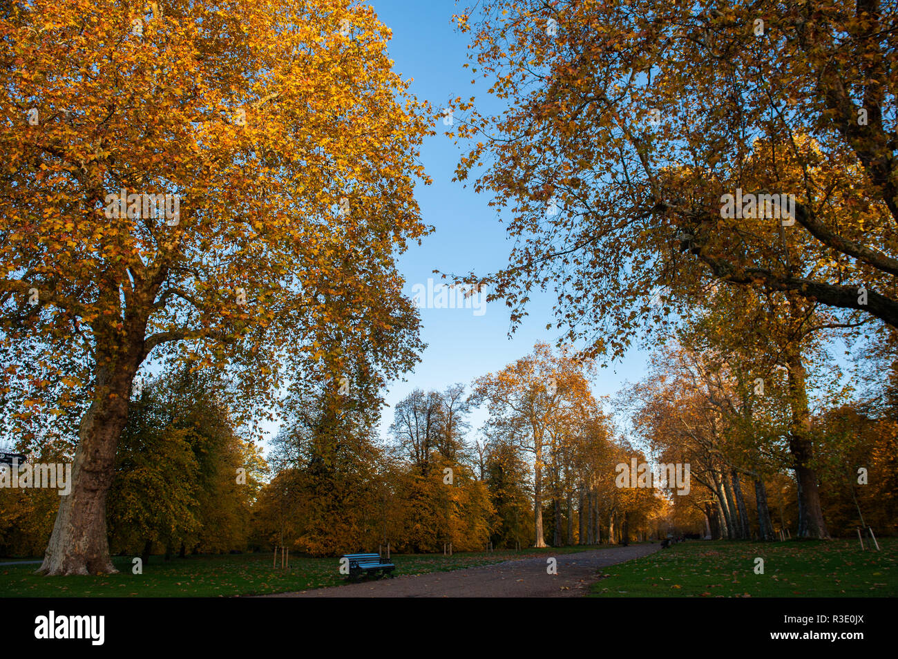 Die Sonne steigt in Kensington Gardens im Herbst. Stockfoto