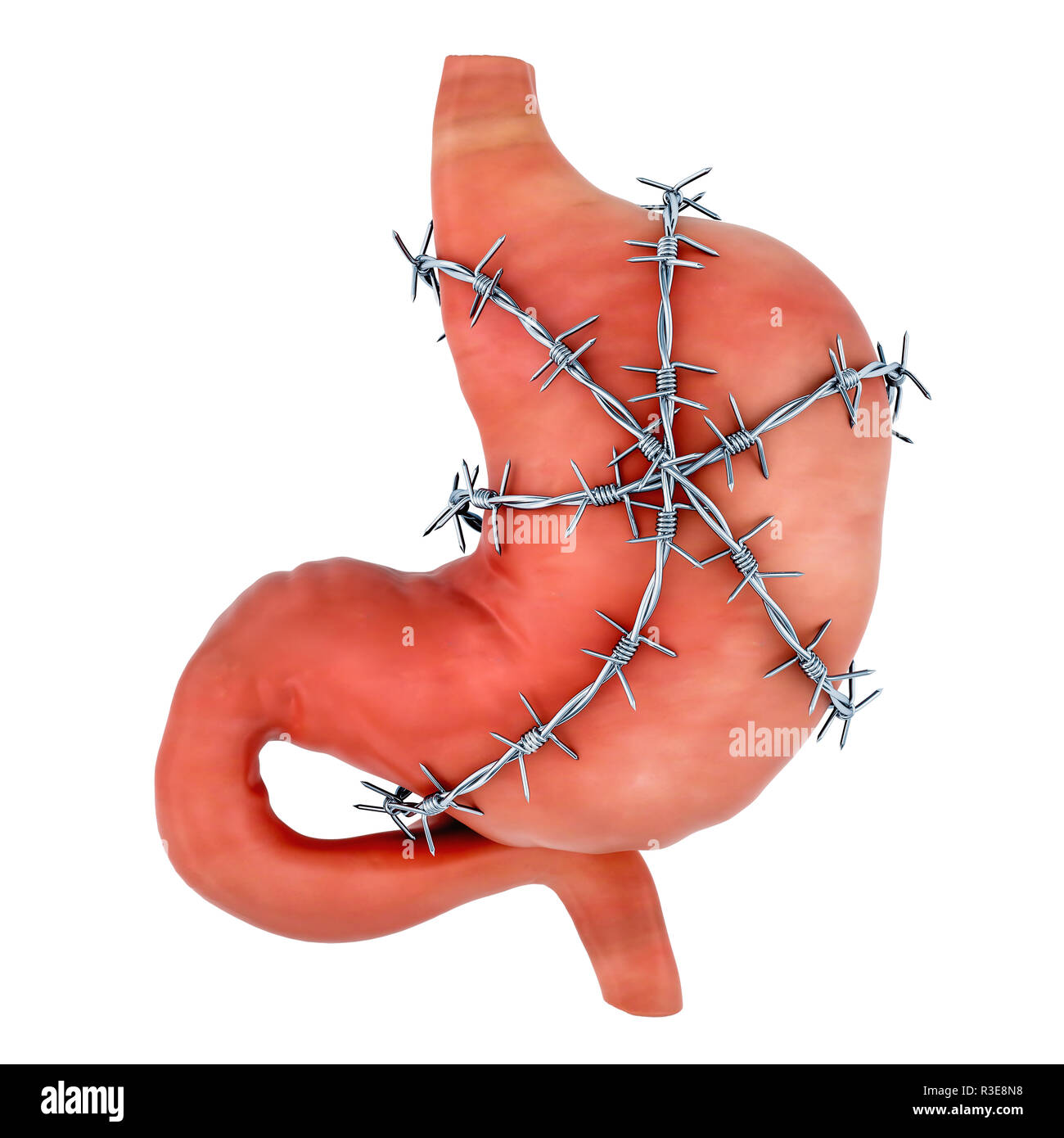 Magenschmerzen Konzept. Menschlichen Magen mit Stacheldraht. 3D-Rendering auf weißem Hintergrund Stockfoto