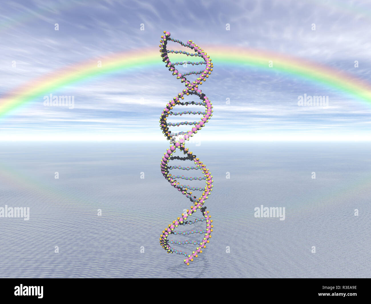 Nukleinsa ure Fotos und Bildmaterial in hoher Auflösung Alamy