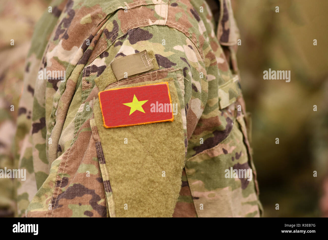 Vietnam Flagge auf Soldaten arm. Vietnam Truppen (Collage) Stockfoto