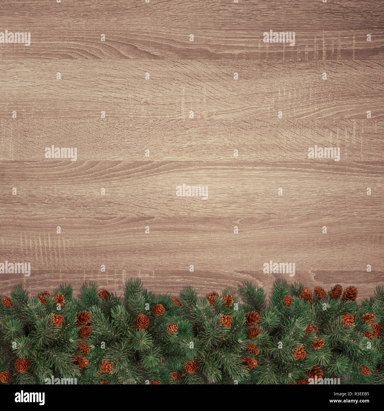 Evergreen Tannenzweigen auf braunem Holz- Textur Hintergrund Stockfoto