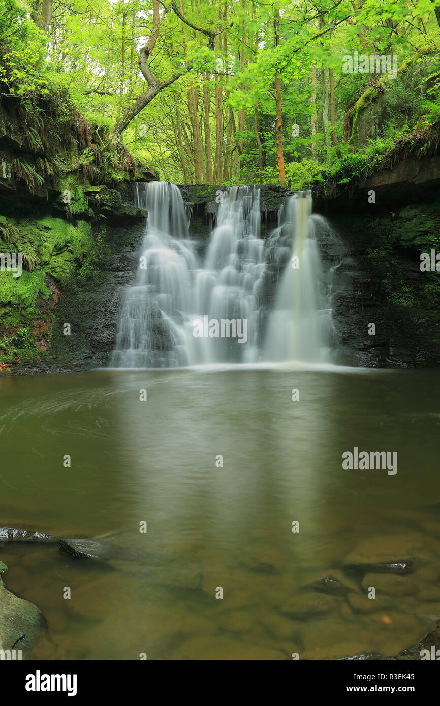 Goit Lager ist ein Wasserfall auf Harden Beck in der Nähe Cullingworth im Aire Tal, West Yorkshire Stockfoto