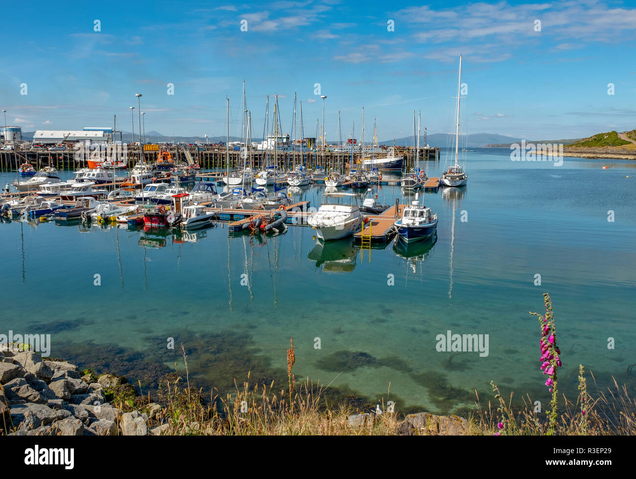 Mallaig Hafen, Lochaber, Schottland. Stockfoto