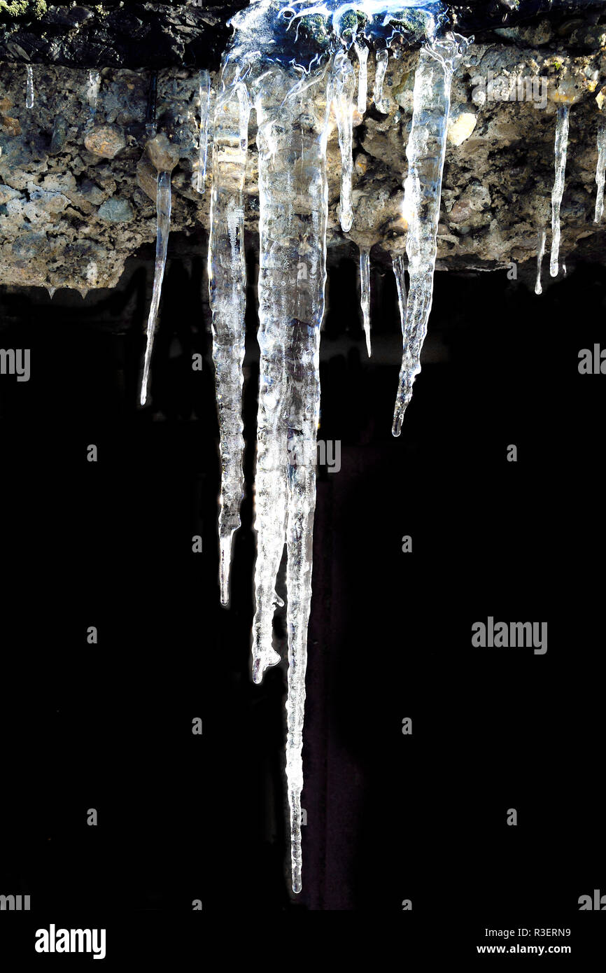 Eiszapfen in der Nähe auflegen, auf schwarzem Hintergrund isoliert. Schöne Element der Winter oder Frühling design Stockfoto