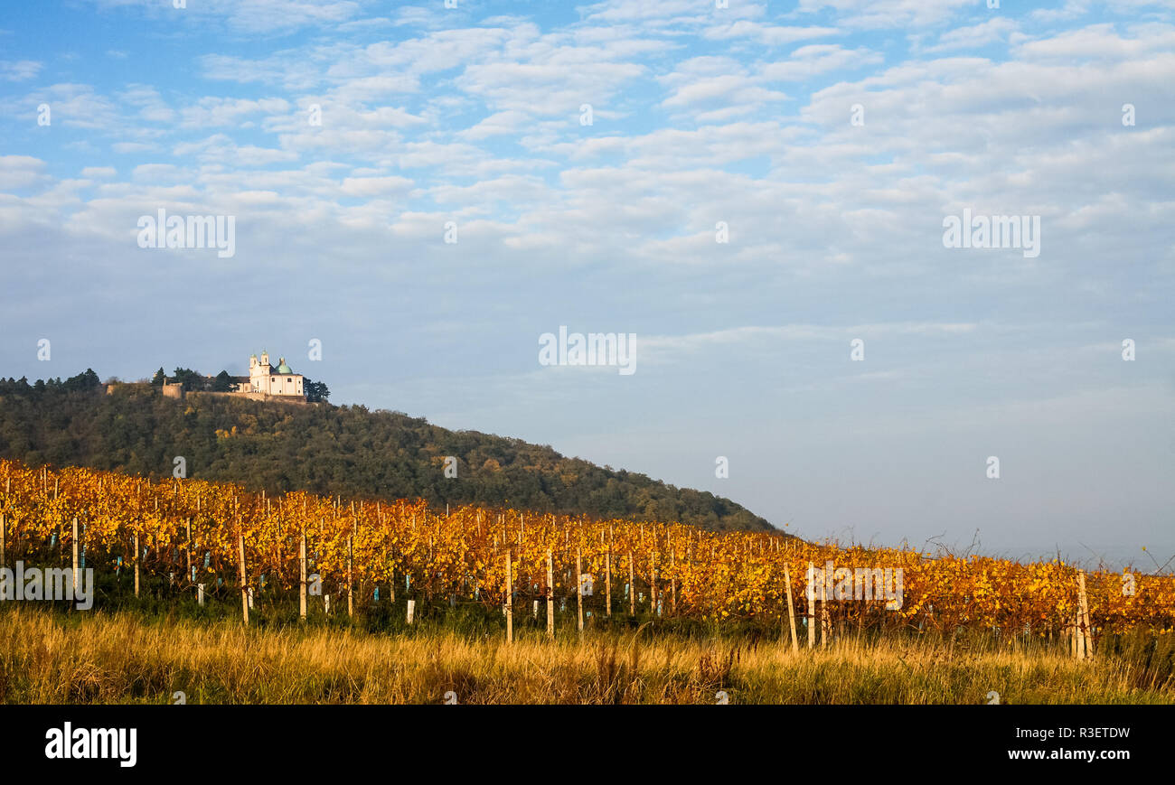 Kirche St. Joseph am Kahlenberg in Wien Stockfoto