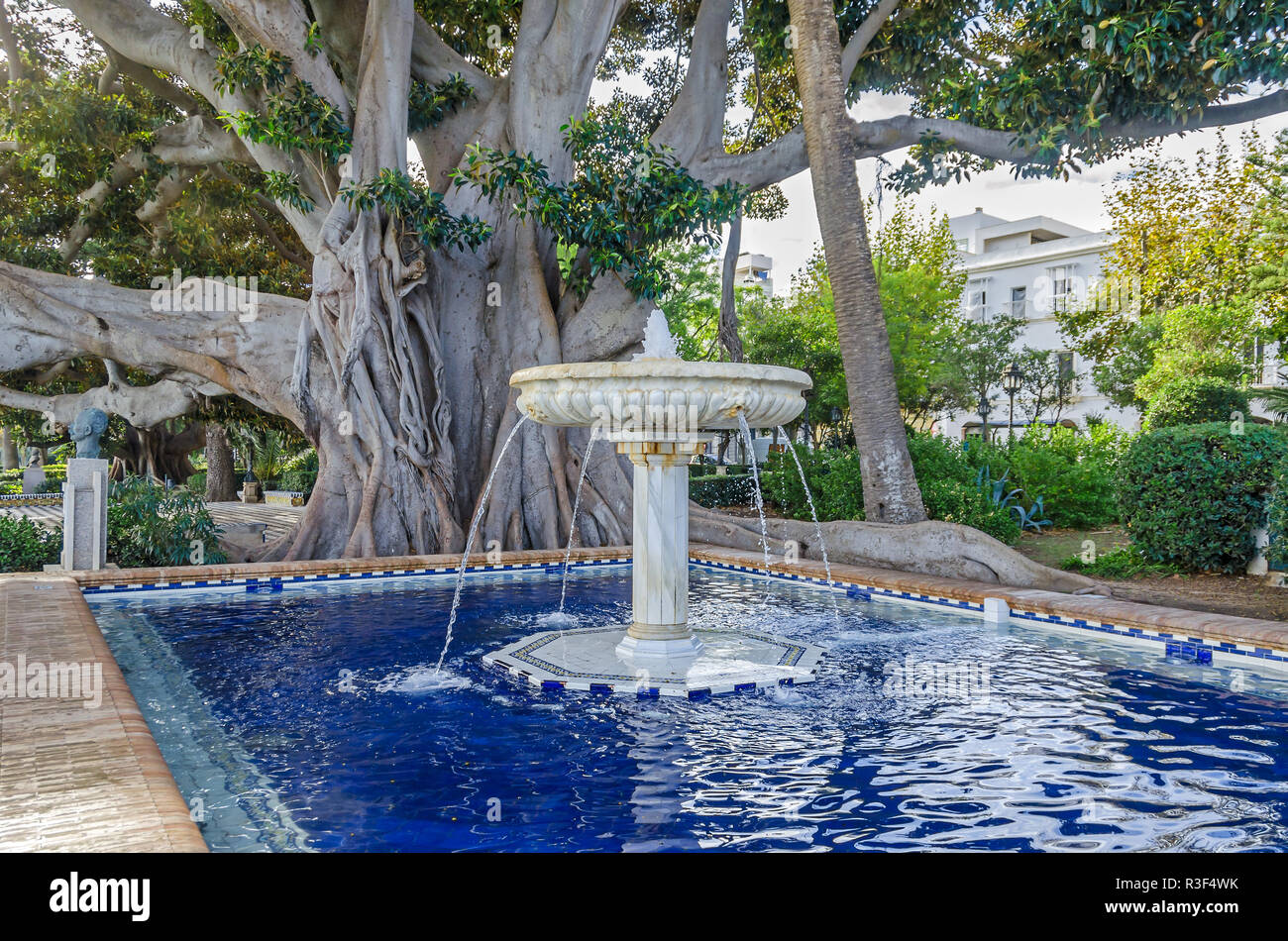 Alameda de Apodaca, einen öffentlichen Park, ein Beispiel für den eklektischen Stil des Regionalismus in Cadiz, mit riesigen ficus Bäume, ein Brunnen und ein Pool eingerichtet Stockfoto