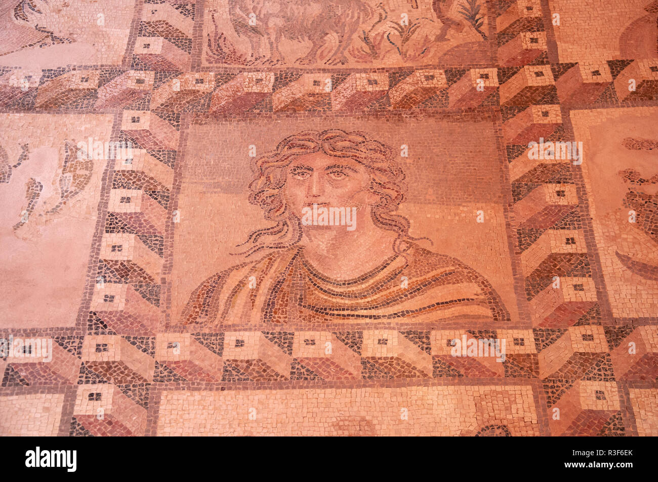 Bodenmosaik im Haus des Dionysos, archäologischen Stätte von Kato Paphos, Paphos (Pafos), Pafos Bezirk, Republik Zypern Stockfoto