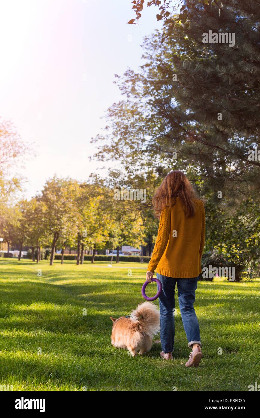 Mädchen und Hund corgi Fuß in den Park Stockfoto