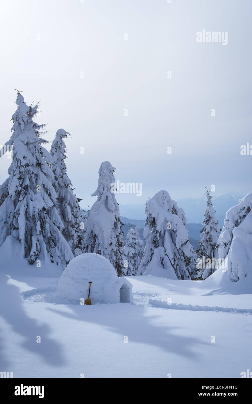 Winter Szene mit einem Eskimo Iglu. Tolle Aussicht mit Schneeverwehungen und Tannen im Schnee Stockfoto