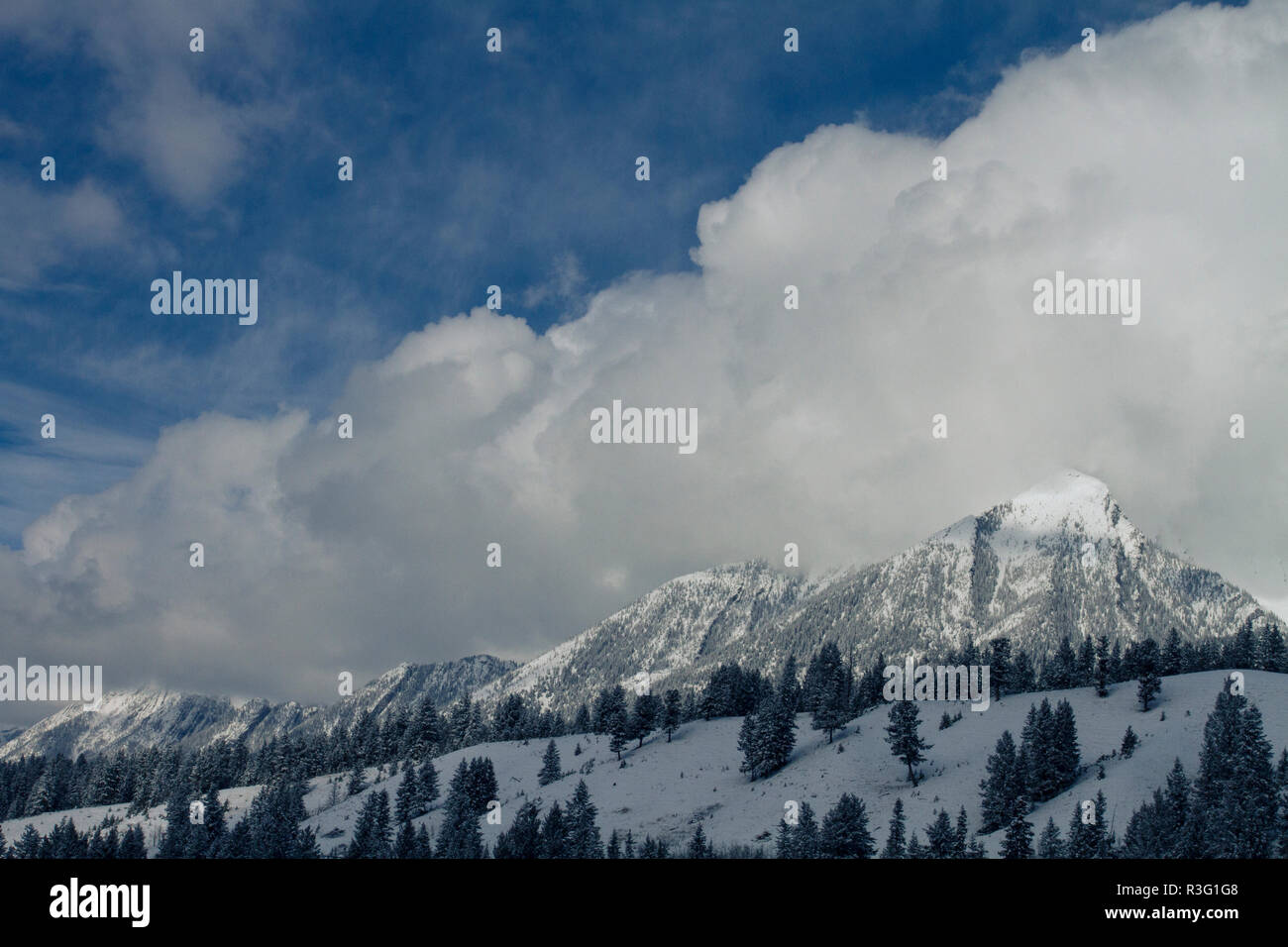Snowy Mountain Range in Alberta, Kanada Stockfoto