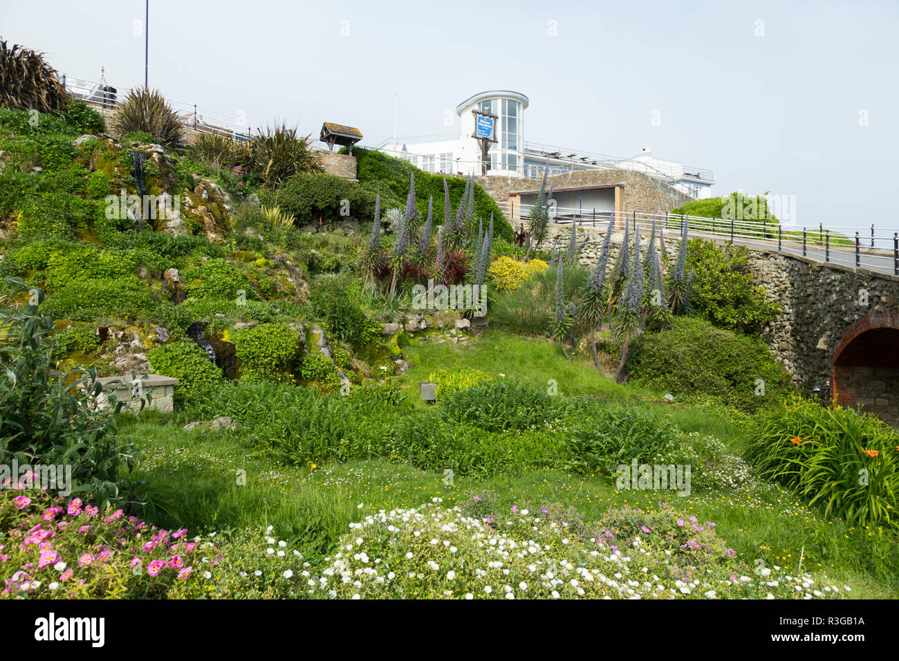 Die Cascade Gardens in Ventnor auf der Insel Wight, entworfen, um 1900 von Edgar Harvey. Der Wintergarten Gebäude könnte im Hintergrund gesehen werden. Das VEREINIGTE KÖNIGREICH (98) Stockfoto