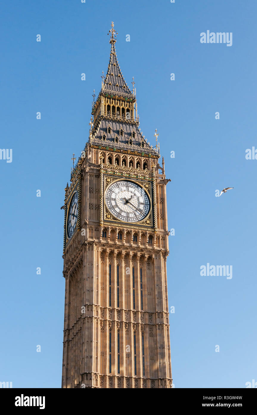 Big Ben Clock Tower in London. Stockfoto
