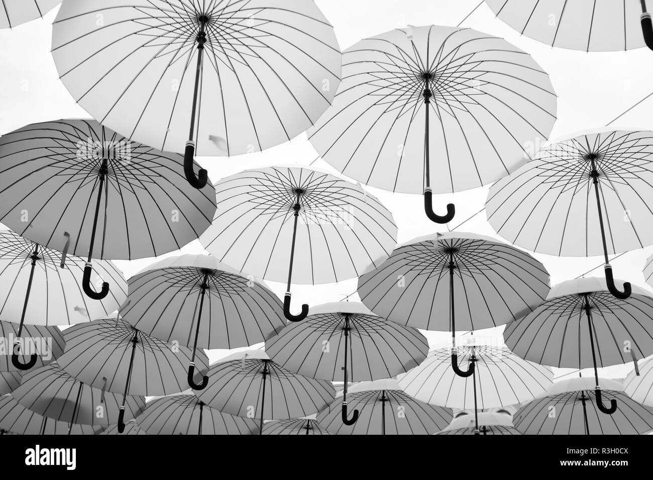 Sonnenschirme schweben im Himmel an einem sonnigen Tag. Sonnenschirm sky Projekt Installation. Kunst Design und Dekor. Urlaub und Fest Feier. Schatten und prot Stockfoto