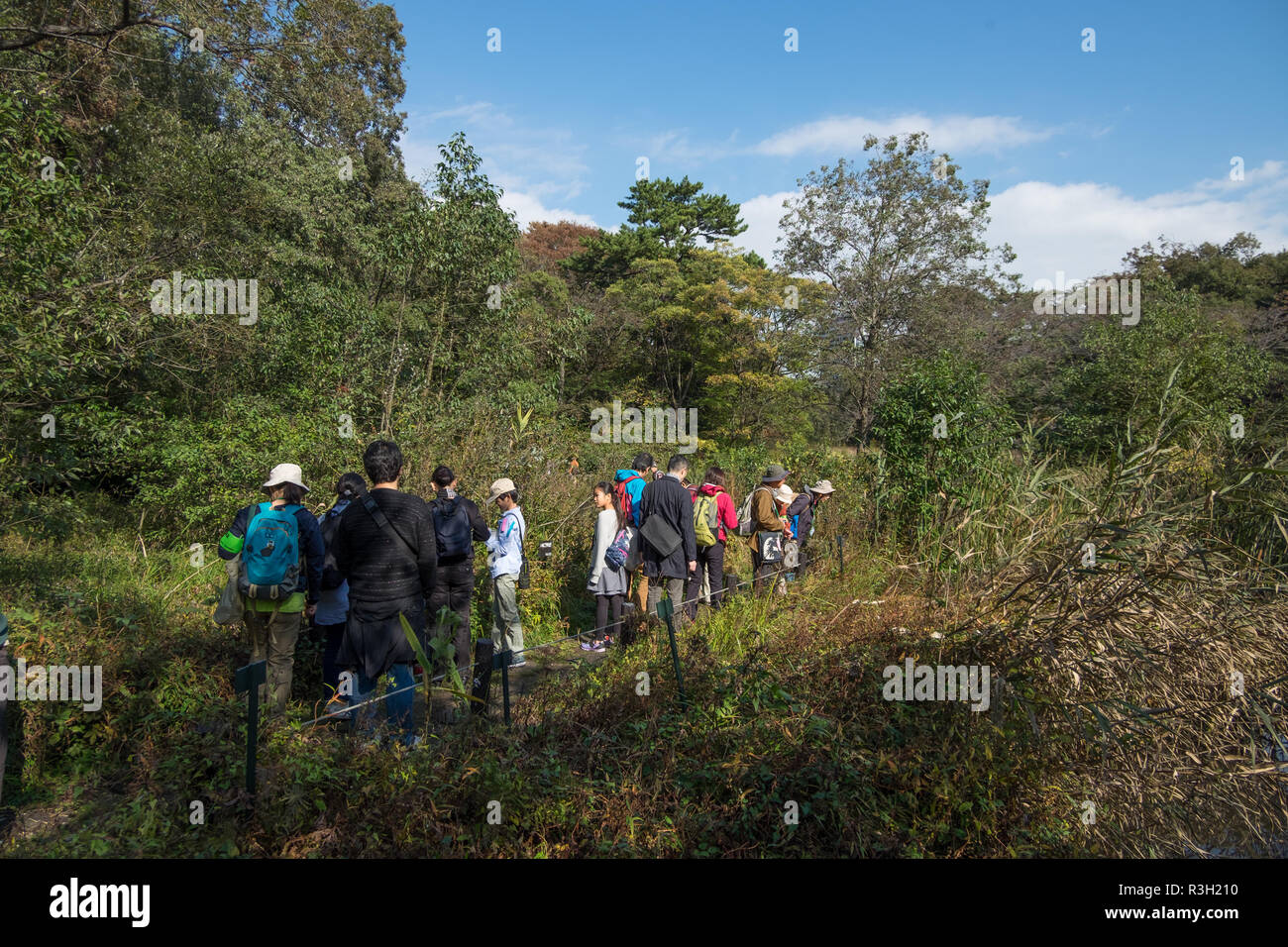 Besuch des Instituts für Naturforschung in Tokio, Japan. Es ist eine städtische Gartenoase, die zeigt, wie das wilde Tokio aussah. Stockfoto