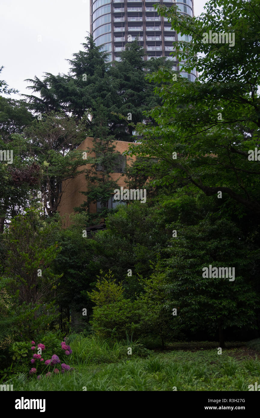 Ein kleines, verstecktes Juwel eines städtischen Garten, in der Gegend Akasaka von Tokio, Japan. Es ist der Hain des Lebens genannt und besteht aus Gärten mit kleinen hölzernen Stockfoto