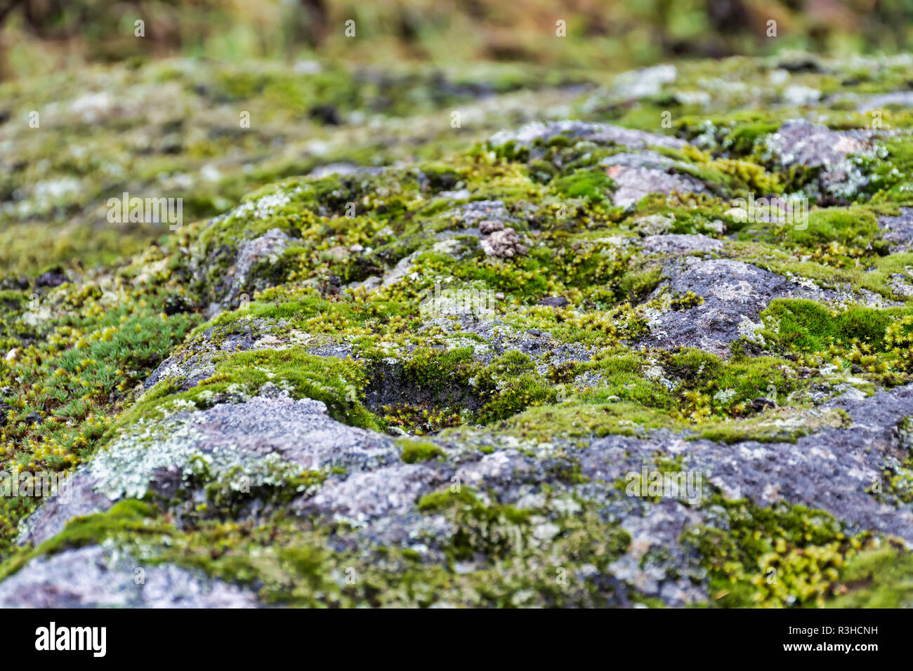 Antiker Opferstein in Hämeenlinna Finnland Stockfoto
