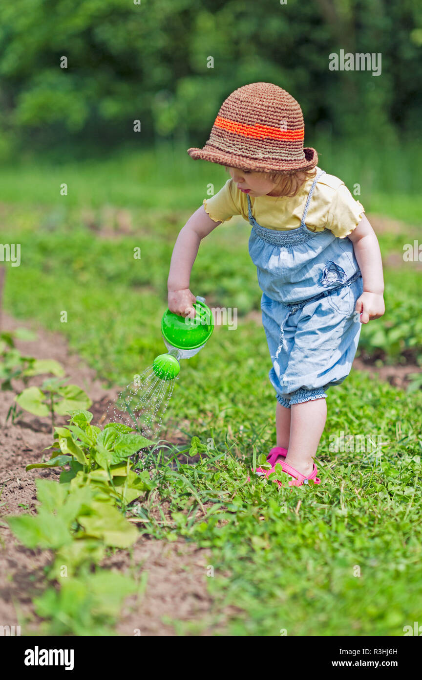 Kind gießen Gemüsebeet Stockfoto