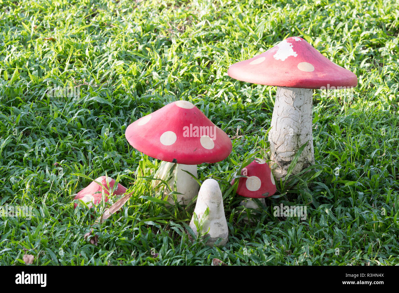 In Der Nahe Des Farbenfrohen Pilz Auf Rasen Im Garten Stockfoto