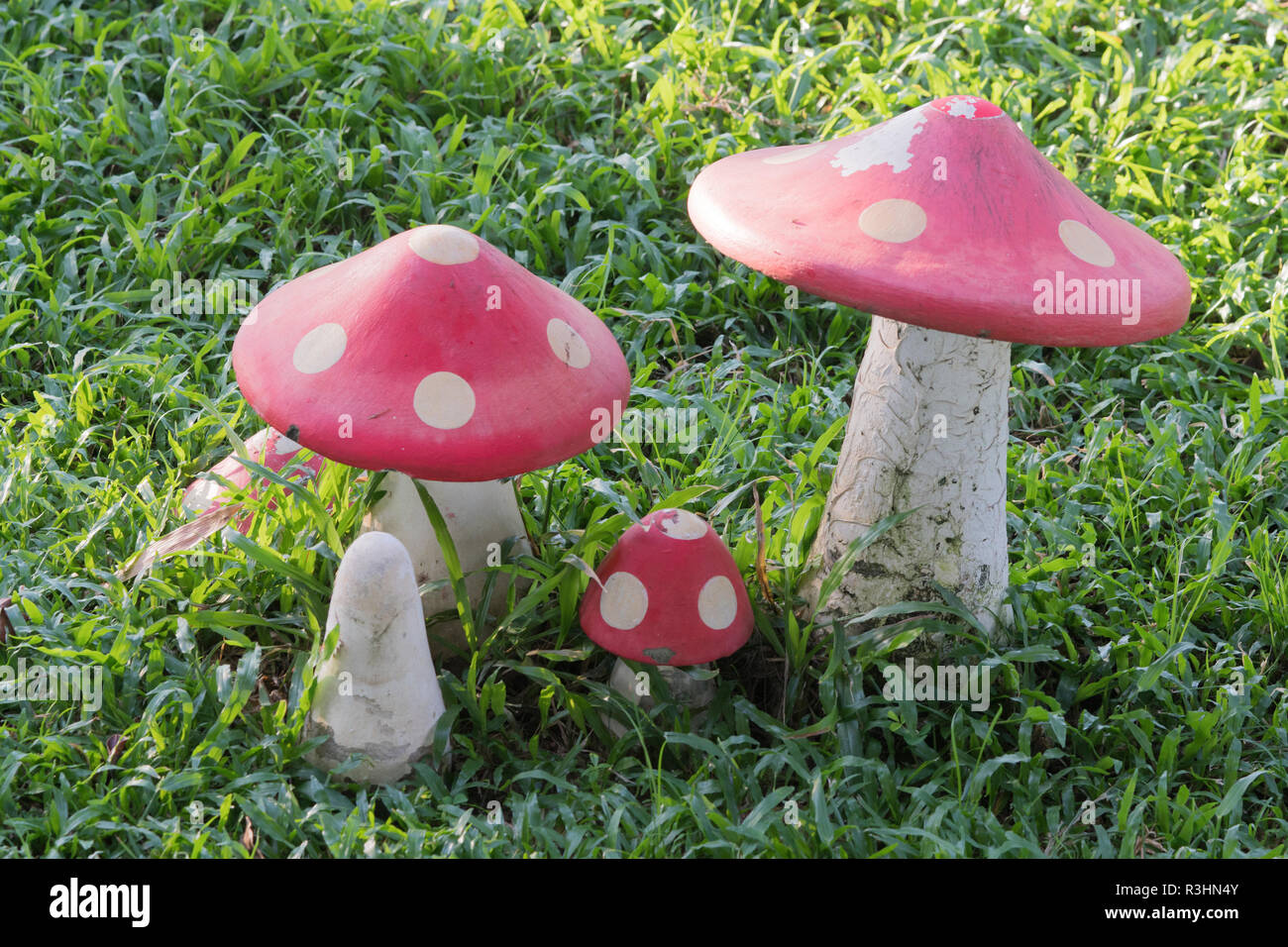 In der Nähe des farbenfrohen Pilz auf Rasen im Garten Stockfoto