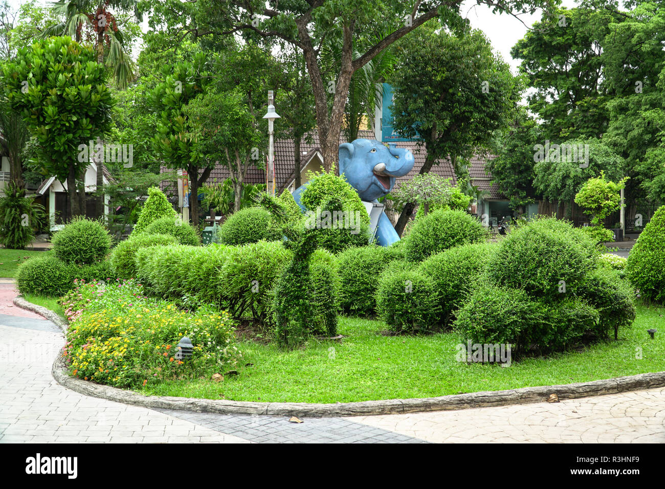 Wunderschöne Anlage mit Pflanzen und Landschaft moderne Gartengestaltung Stockfoto