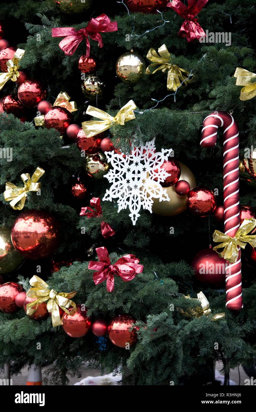 Weihnachtsbaum Stockfoto