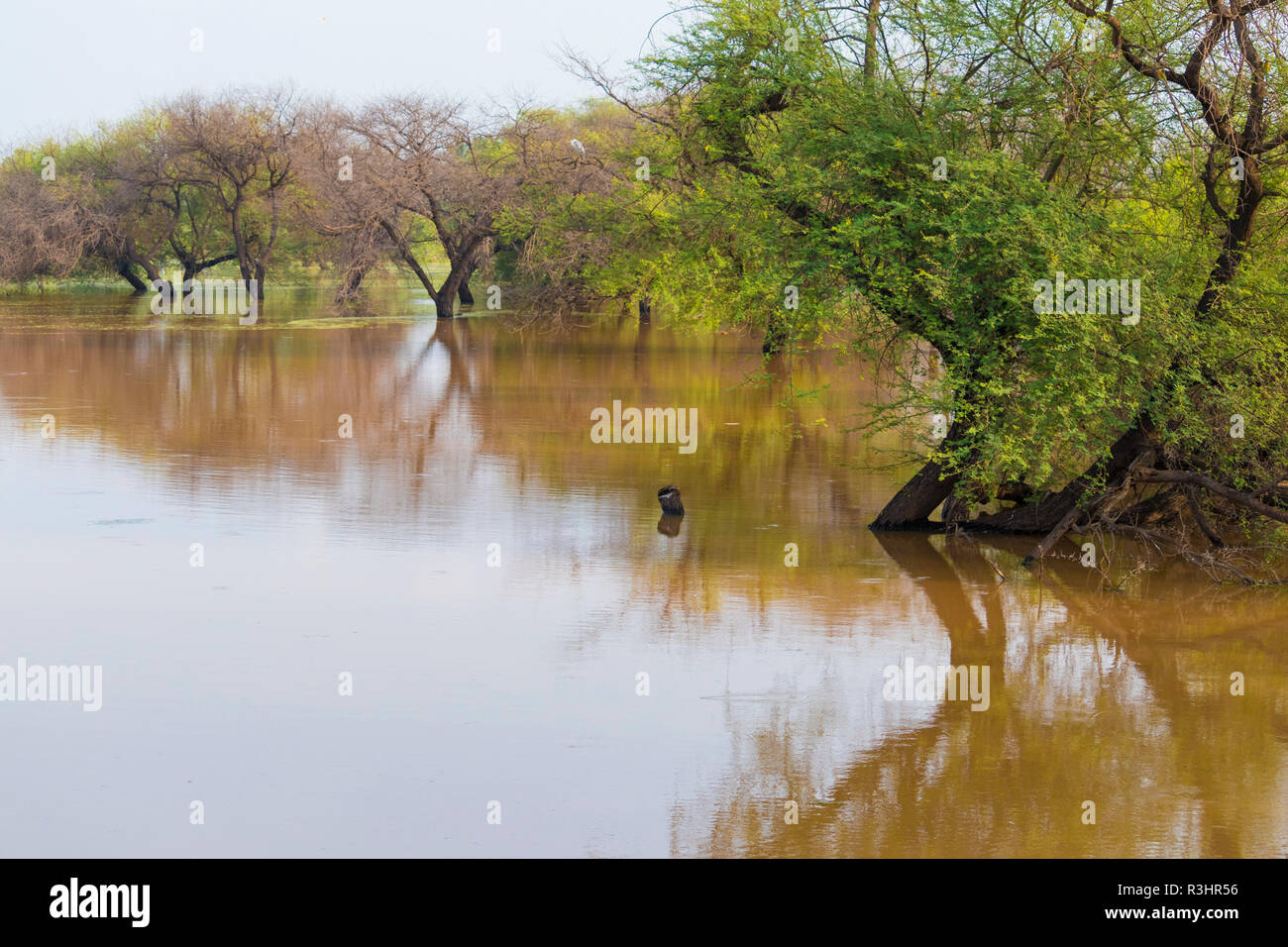 Eine schöne Landschaft im Winter Stockfoto