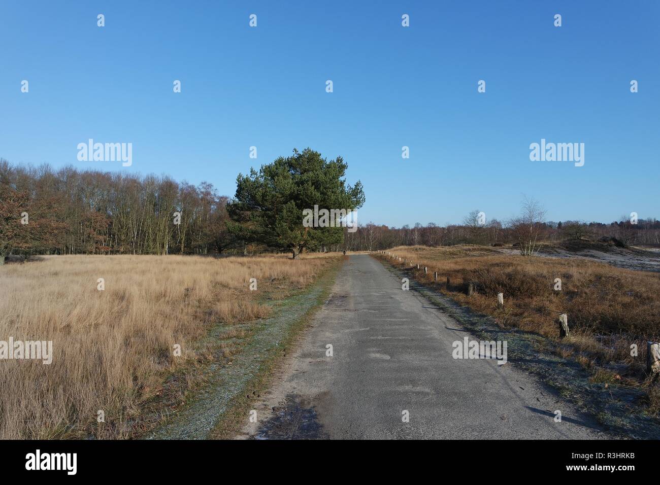 Hamburg, weg durch die boberger Niederungen Stockfoto