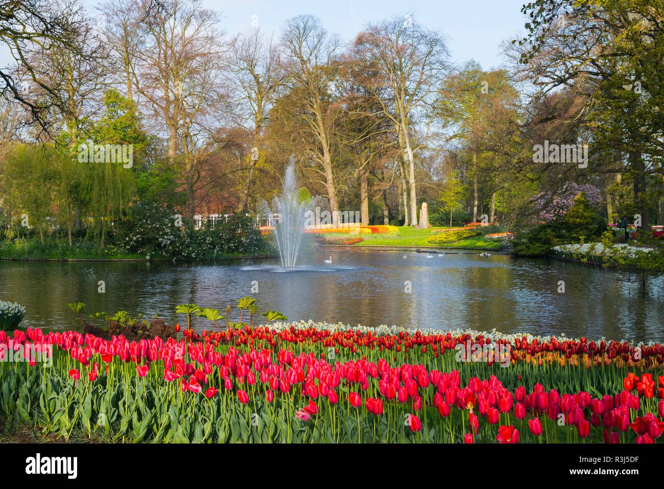 Blume Garten mit bunten Tulpen (Tulipa) in der Blüte, Brunnen hinter,  Keukenhof Gärten Ausstellung, Lisse, Süd Holland Stockfotografie - Alamy