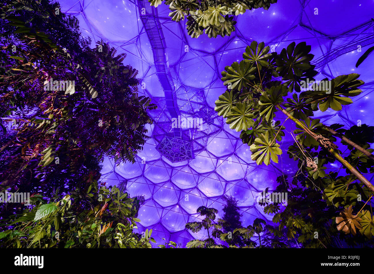 Das Dach des Rainforest biome im Eden Project, Cornwall, im violetten Licht getaucht als Beleuchtung Ingenieure und Mitarbeiter aus der grössten Indoor Regenwald der Welt bereiten sich auf ihre Weihnachten Licht zeigen, die für die Öffentlichkeit am Samstag, den 24. November geöffnet. Stockfoto