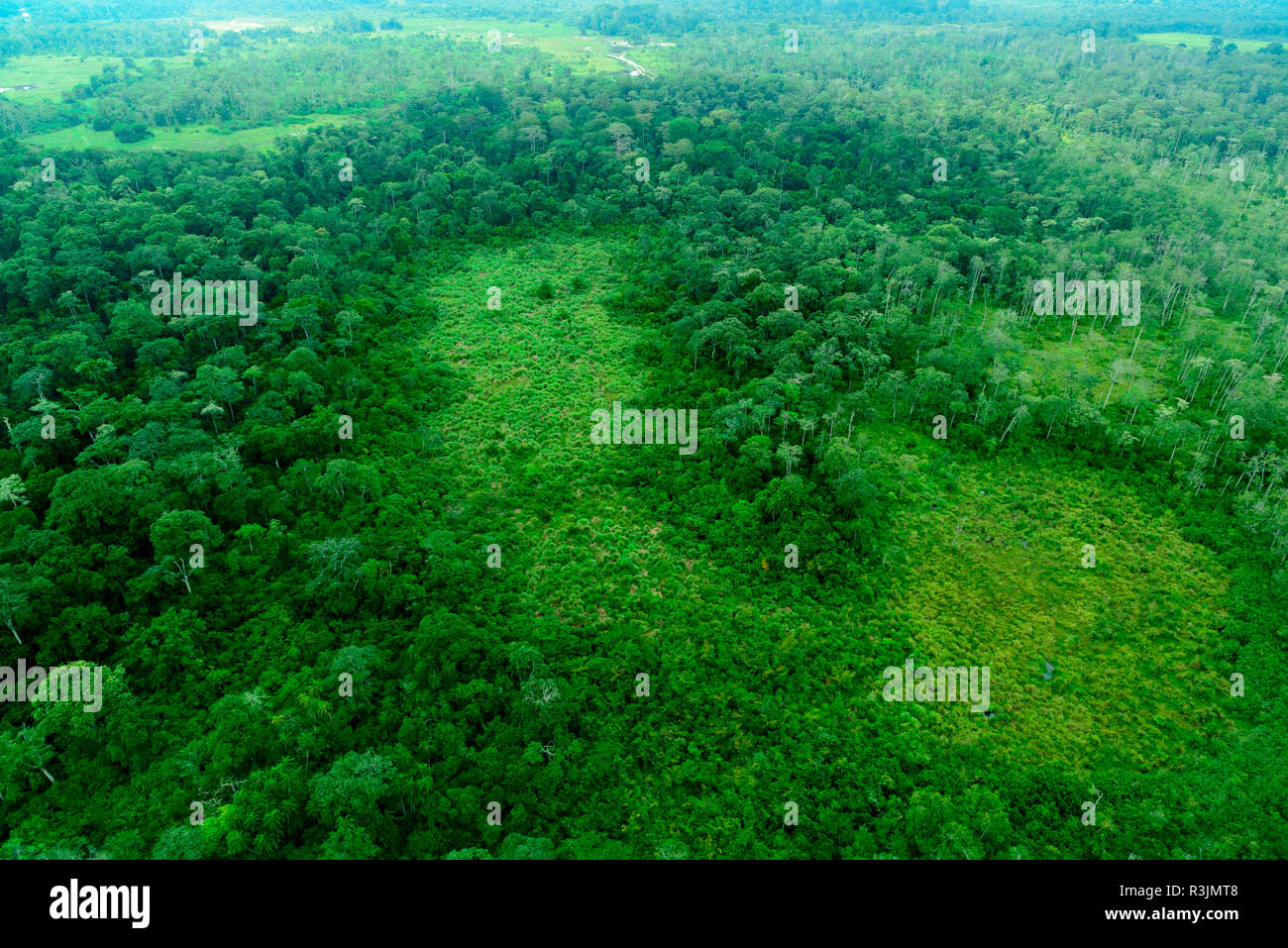 Luftaufnahme. Odzala-Kokoua National Park. Region Cuvette-Ouest. Republik Kongo Stockfoto