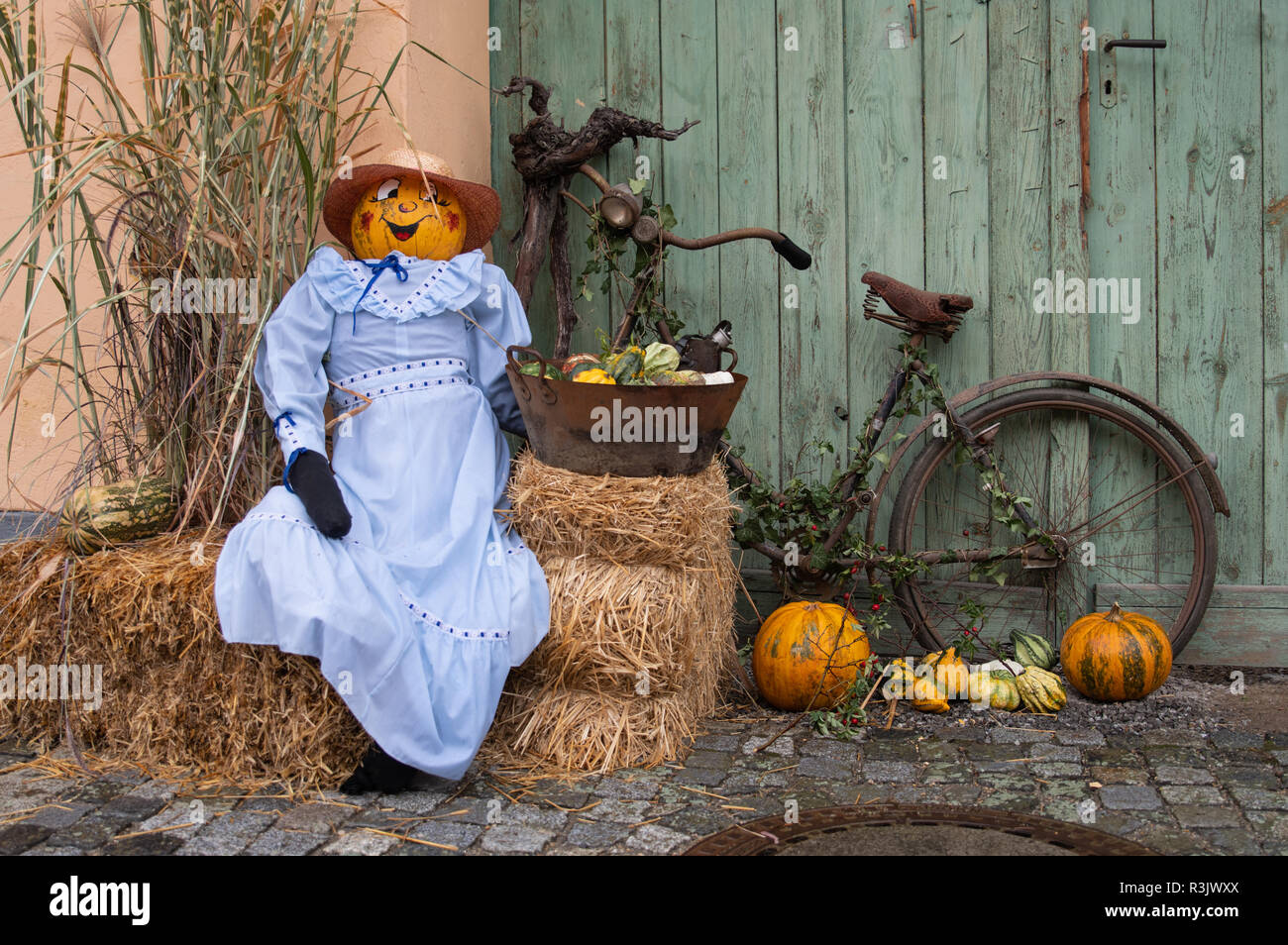 Altes Fahrad mit Kürbismädchen Stockfoto