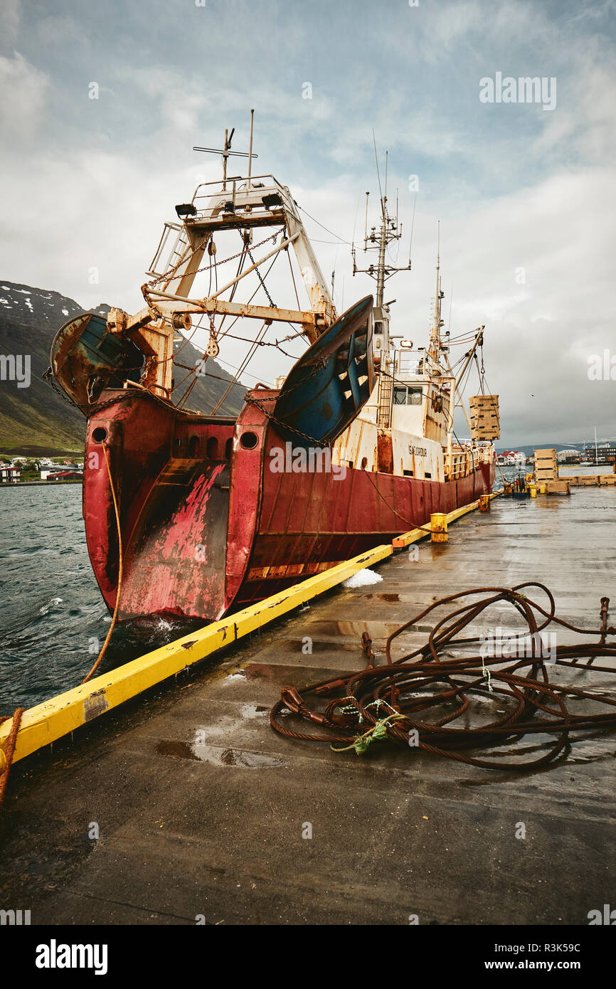 Ein isländischer Fischtrawler Anlandung der Fänge im Hafen von Isafjordur in den Westfjorden Region von Island. Stockfoto