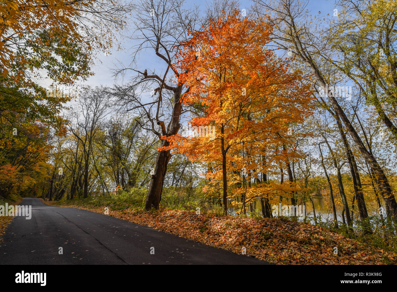 Ein herbstlicher Blick auf Tryon Street entlang der Connecticut River in South Glastonbury, CT Stockfoto