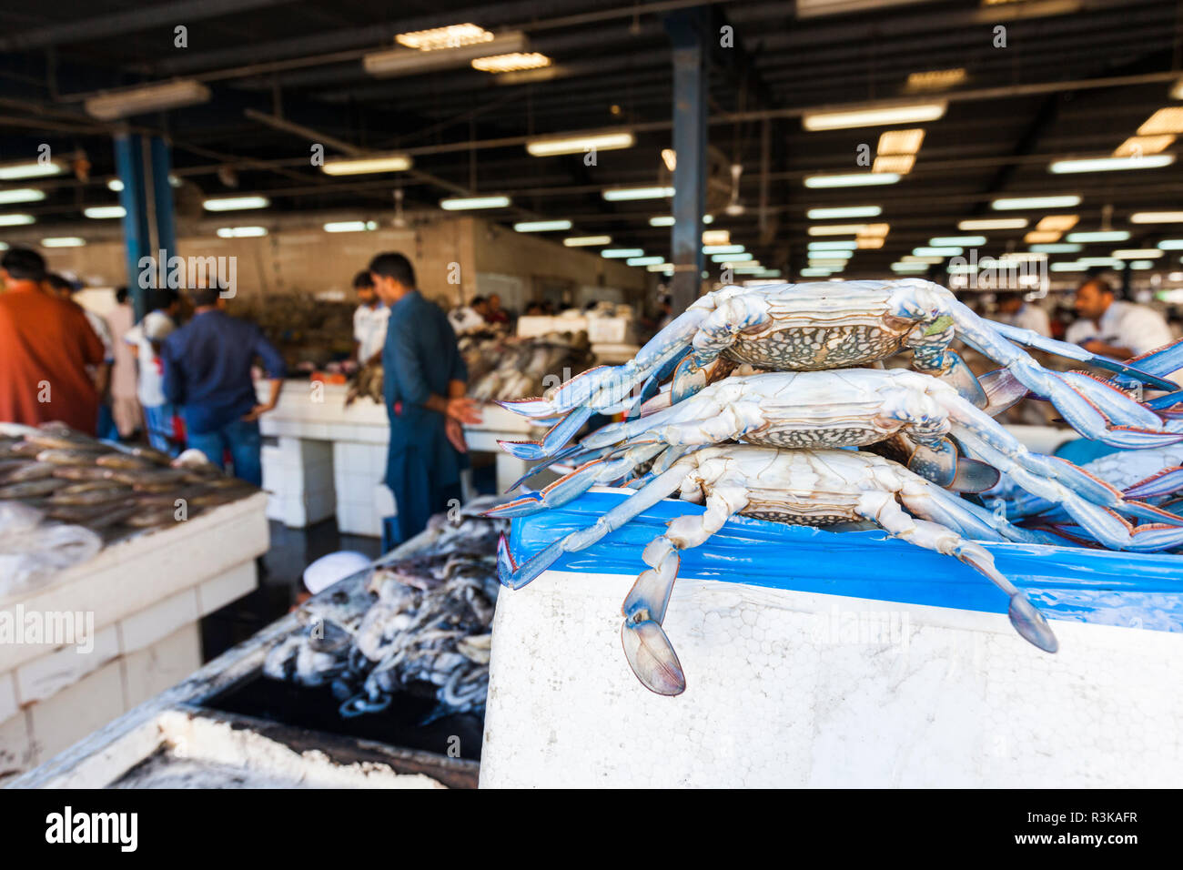 UAE, Dubai, Deira. Dubai Fischmarkt, blauen Krabben Stockfoto