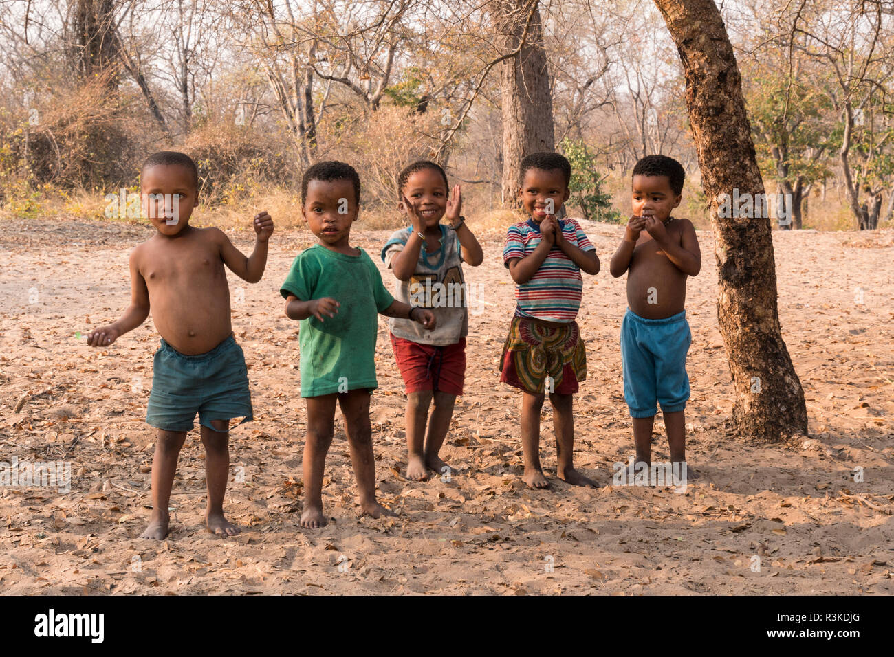 Gruppe kleiner Kinder von den San Buschmännern Stamm, östlichen Namibia, Afrika. (Redaktionelle nur verwenden) Stockfoto