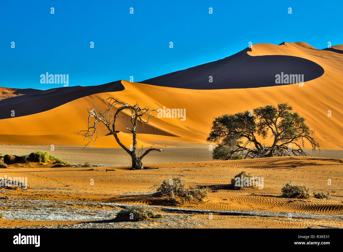 Afrika, Namibia, Sossusvlei. Dünen am Morgen Stockfoto