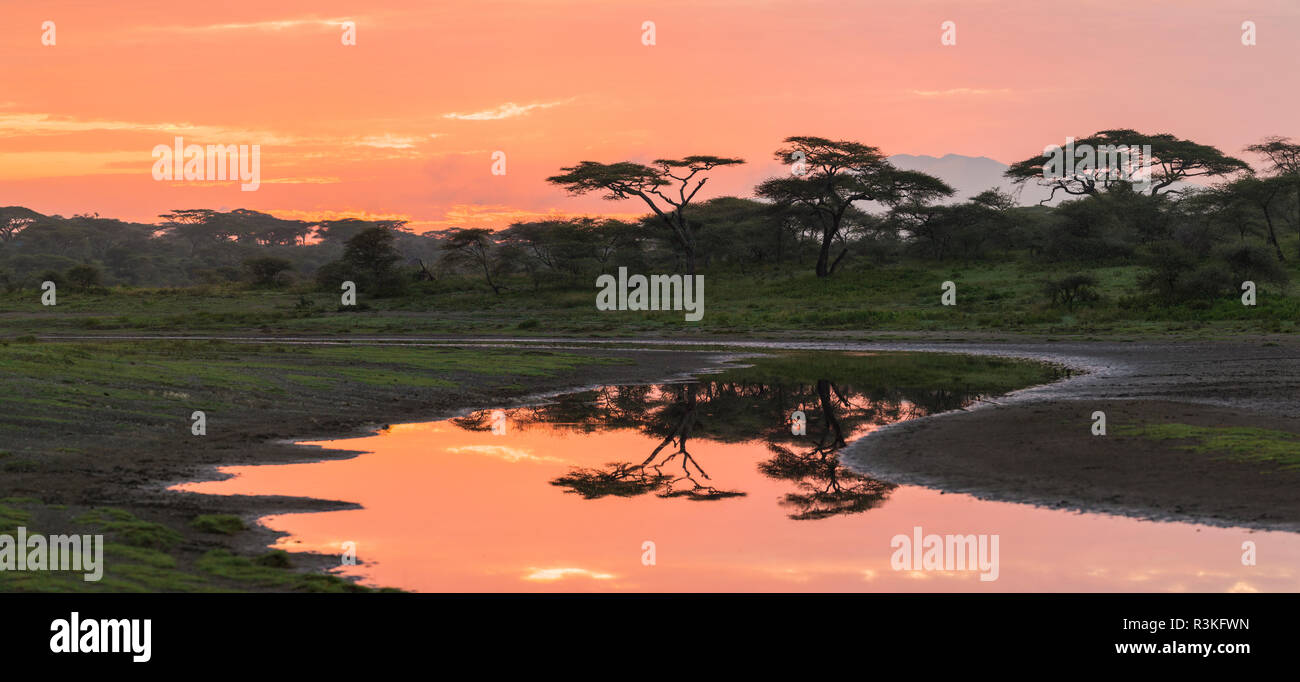 Afrika. Tansania. Morgen Sonnenaufgang bei Ndutu, Serengeti National Park. Stockfoto