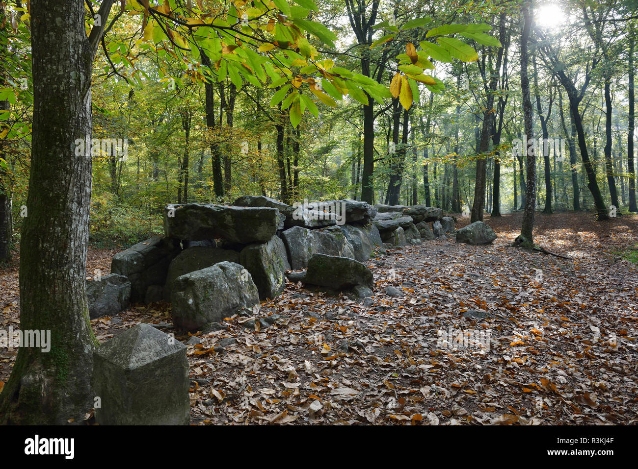 Esse (Bretagne, Frankreich): Dolmen von La Roche-aux-Gebühren (die Feen' Rock), Megalith-monument registriert als National Historic Landma Stockfoto