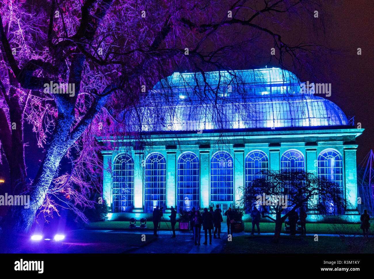 Edinburgh, Schottland, Großbritannien. 23. November 2018. Weihnachten im Botanik öffnet sich an der Royal Botanic Garden Edinburgh. Die jährliche Nacht Veranstaltung verfügt über einen beleuchteten Weg durch die Gärten mit über einer Million Lichtern. Bild, das Glasshouse zeigen. Das Palm House verfügt über die erstaunliche können bunte Licht zeigen in der Zeit nach der Musik von Kate Bonney von Lightworks konzipiert. Credit: Iain Masterton/Alamy leben Nachrichten Stockfoto