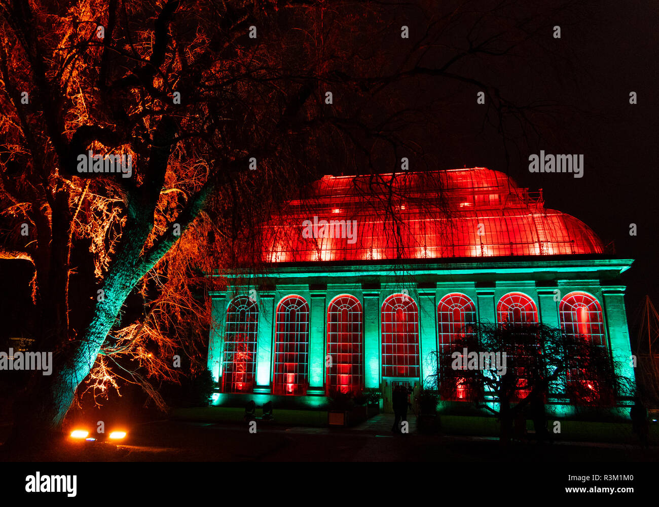 Edinburgh, Schottland, Großbritannien. 23. November 2018. Weihnachten im Botanik öffnet sich an der Royal Botanic Garden Edinburgh. Die jährliche Nacht Veranstaltung verfügt über einen beleuchteten Weg durch die Gärten mit über einer Million Lichtern. Bild, das Glasshouse zeigen. Das Palm House verfügt über die erstaunliche können bunte Licht zeigen in der Zeit nach der Musik von Kate Bonney von Lightworks konzipiert. Credit: Iain Masterton/Alamy leben Nachrichten Stockfoto