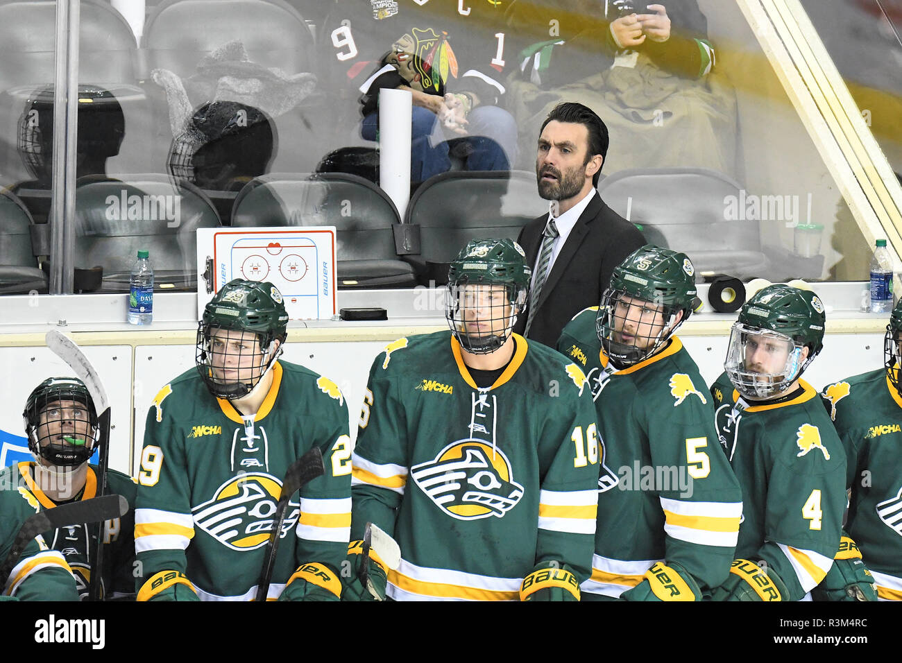 November 23, 2018 Universität von Alaska Anchorage Head Coach Matt Curley Uhren während der NCAA Men's College Hockey Spiel zwischen den Alaska Anchorage Seawolves und von der Universität von North Dakota Kampf gegen die Falken an der Ralph Engelstad Arena in Grand Forks, ND spielen. North Dakota gewann 5-2. Foto von Russell Hons/CSM Stockfoto