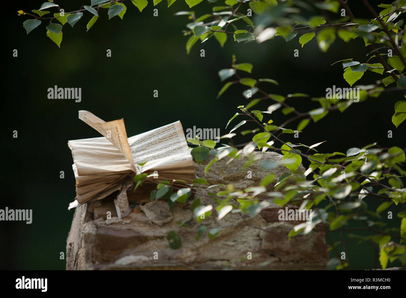 Wind drehen Seiten aus dem Buch Handauflegen zerstörten Mauer der Terrasse Stockfoto