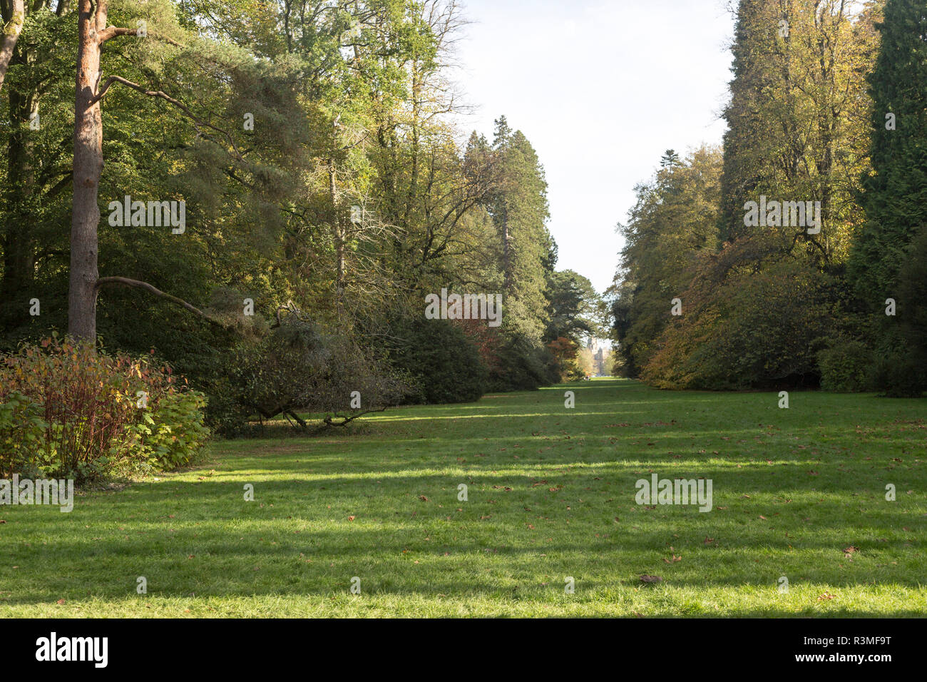 Holford Fahrt, Alte Arboretum, National Arboretum, Westonbirt Arboretum, Gloucestershire, England, Großbritannien Stockfoto