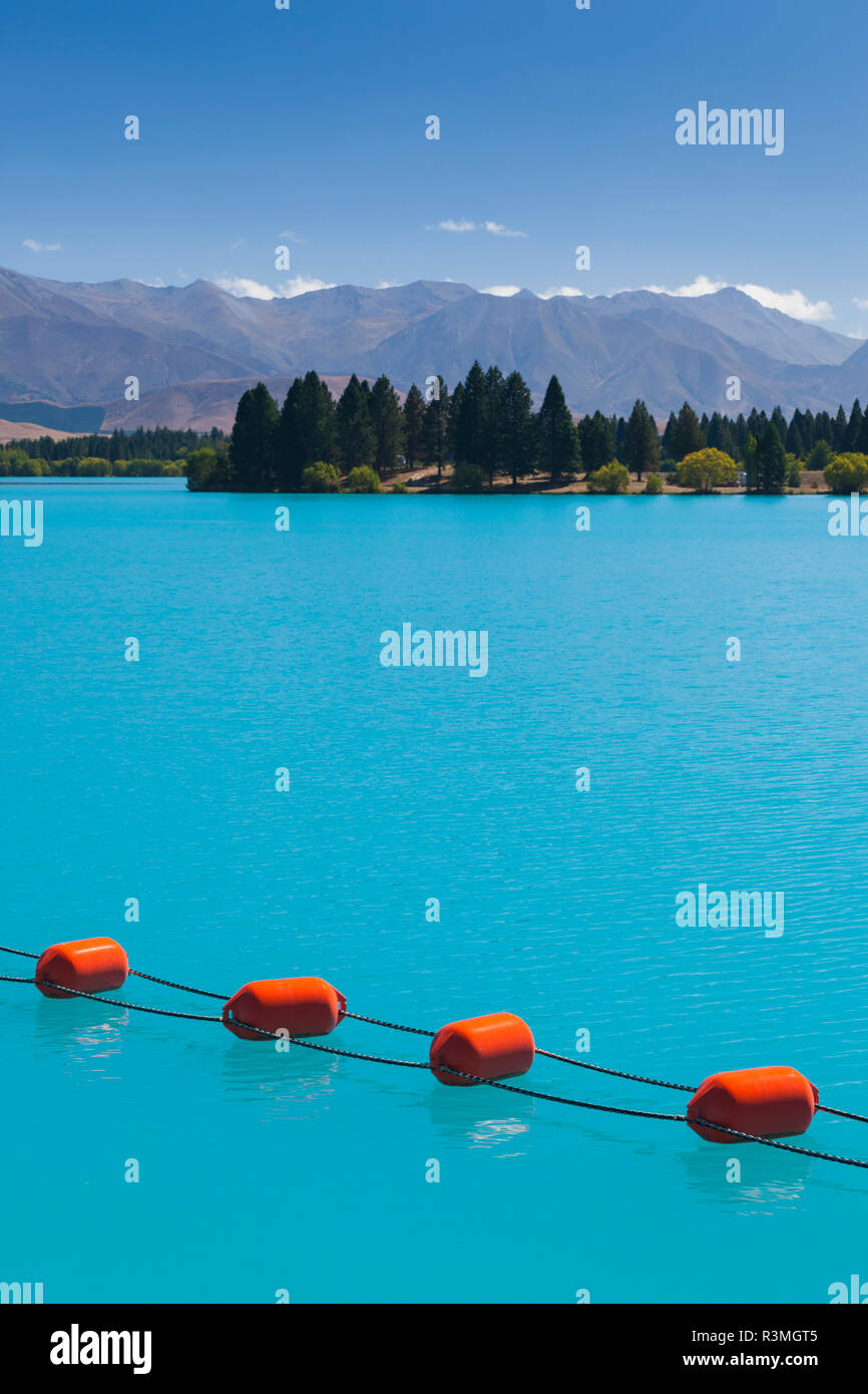 Twizel, Lake Ruataniwha, Canterbury, Südinsel, Neuseeland im azurblauen Wasser schwimmt Stockfoto
