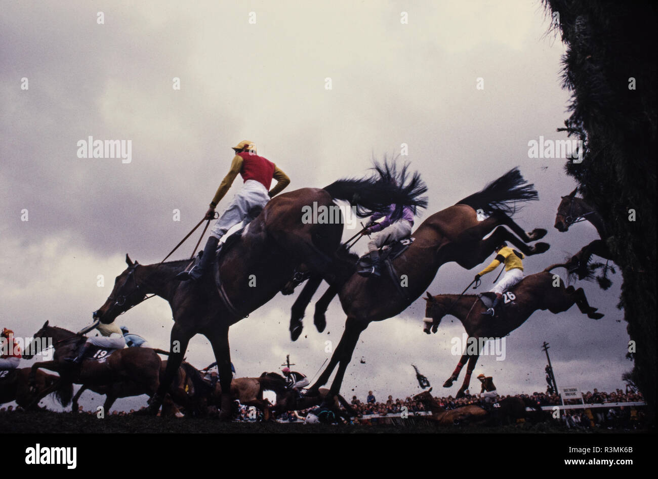 Grand National Rece Sitzung Aintree Liverpool England Großbritannien 1986 Pferde springen über Becher's Brook Zaun, wo viele Pferde fiel. Stockfoto
