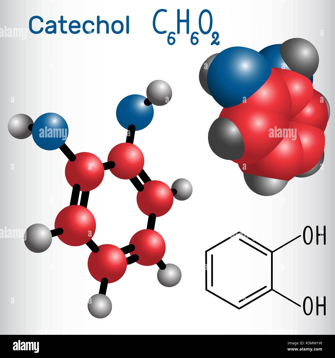 Catechol (pyrocatechol) Molekül - Strukturelle chemische Formel und Modell. Vector Illustration Stock Vektor